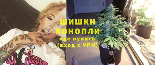 дурь Белокуриха