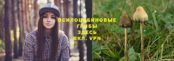 дурь Белокуриха